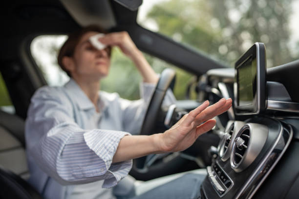 Best Air conditioning repair  in Litchfield, MI
